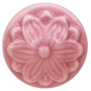 Lolipop