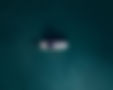 nikldn-t-6GW8T6Jsc-unsplash_edited.jpg