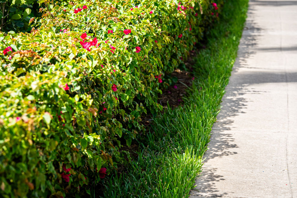 GulfScapes_Fiddlers Creek_Stills-69