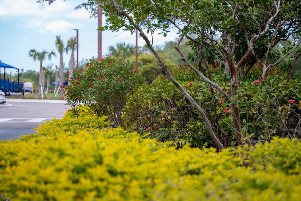 GulfScapes_The Brooks_Stills-7