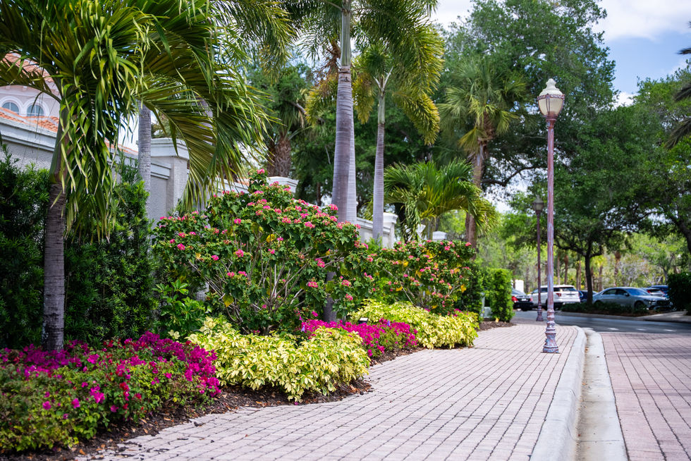 GulfScapes_The Brooks_Stills-25