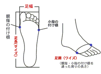 足のサイズ.gif