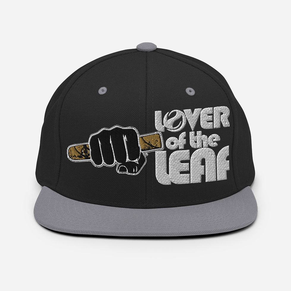 Thumbnail: SWDB LOTL Snapback Hat