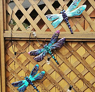 Jikiden Reiki with Sue