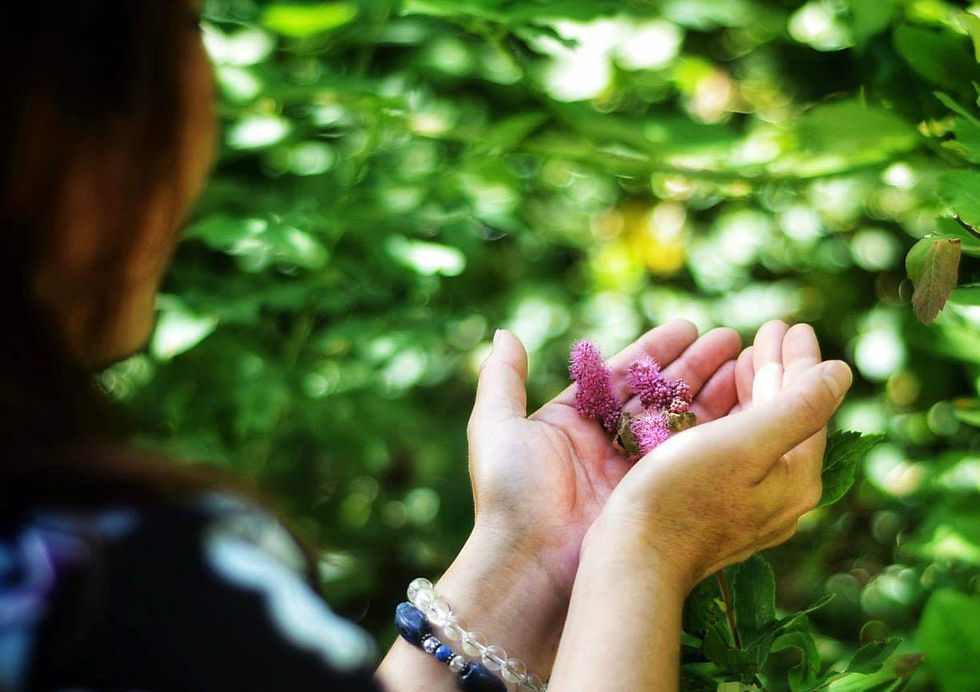 Learn Jikiden Reiki Shoden (level1) May 25, 26, 2024