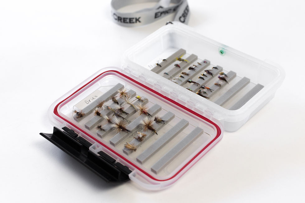 Thumbnail: Epic Fly Box