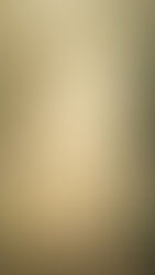 A person walks on a sunlit forest path towards a temple, surrounded by tall trees and morning mist, creating a serene and tranquil mood.