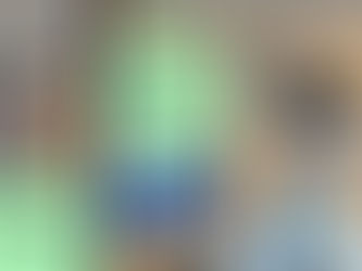 2020 Democratic Primaries Recap