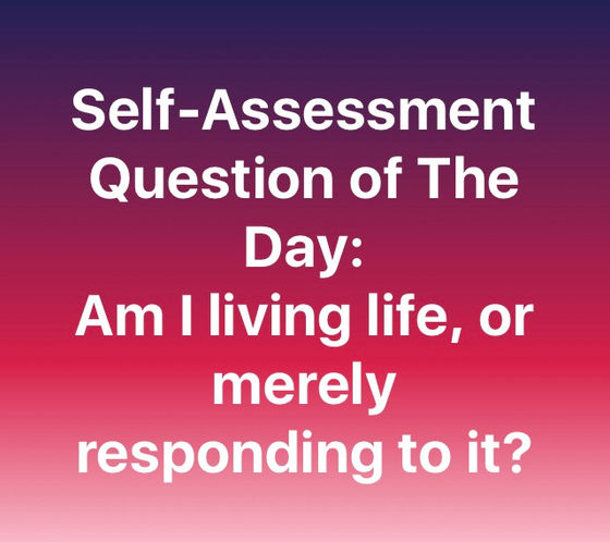 Self-Assessment