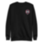 Ohio USA Unisex Fleece Pullover