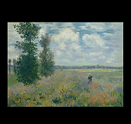 Monet_Poppy_BRDR_Argentul.png