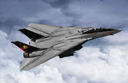 WW3 - Trumpeter - 1:144 - Grumman F-14B Tomcat - TRU03918