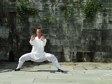 Tiger Posture