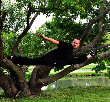 Dragon in a Tree