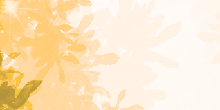Yellow BO Background 2.png
