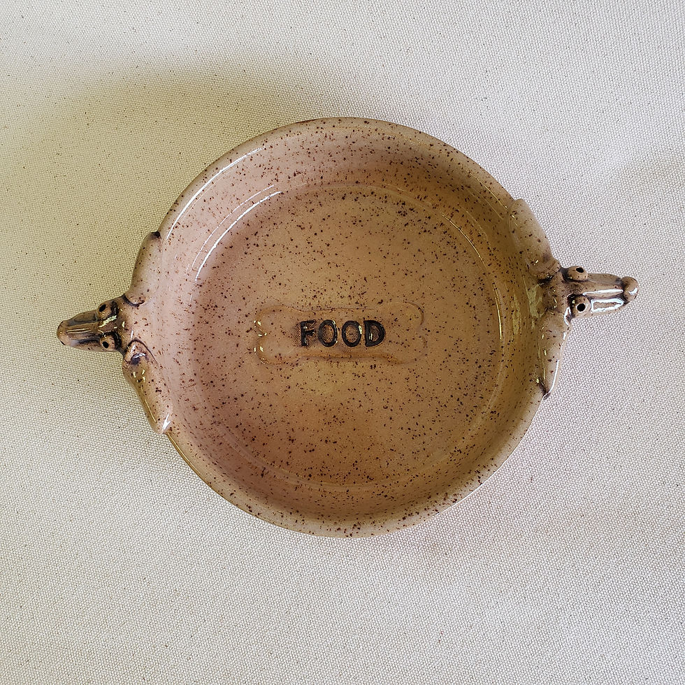 Dog Bowl