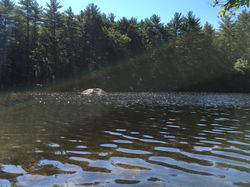 Rock in distance