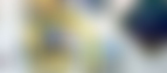 MEMBER SHOW | Featuring NAC Artists