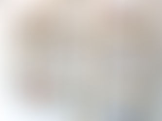 TAKE WHAT YOU CAN by Monika Hauck