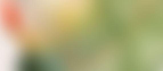 No Place like Home | Suria Runstedler