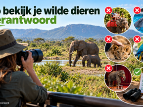 Wildlife beleven zonder dierenleed