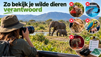 Wildlife beleven zonder dierenleed