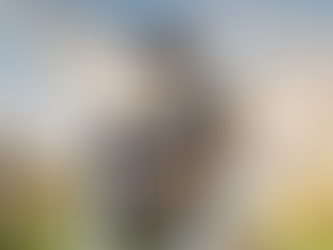 Real Madrid World in Dubai geopend