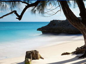 Barbados laat PCR-test voor gevaccineerde reizigers varen