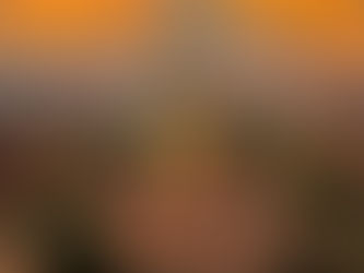 Universal Orlando opent in 2025 4e megapark 