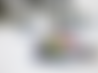 Transavia wintervluchten vanaf 16 april te boeken