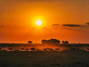 Kenia noteert 2,79 miljoen internationale bezoekers en sterke groei toerisme