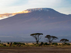 Nieuw reisadvies voor Kenia, delen op rood