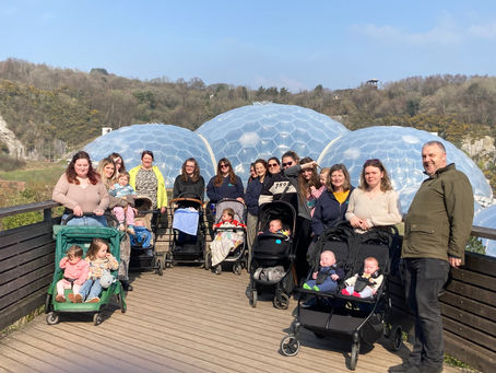 A WILD day out at Eden Project