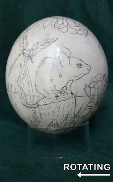 Proposed Project in Progress.gif