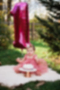 cakesmashphotographyohio.jpg