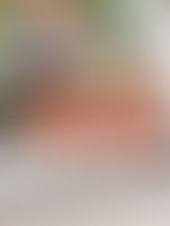 Designing your Wedding Album