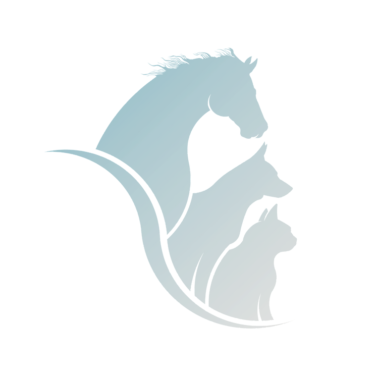 design image cover element copy 2.png