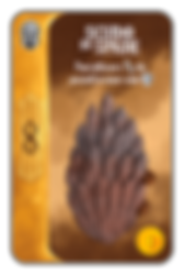 SCUDO DI SPADE-01.png