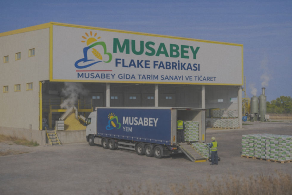 ChatGPT Image 28 Mar 2026 10_10_52_edited.jpg