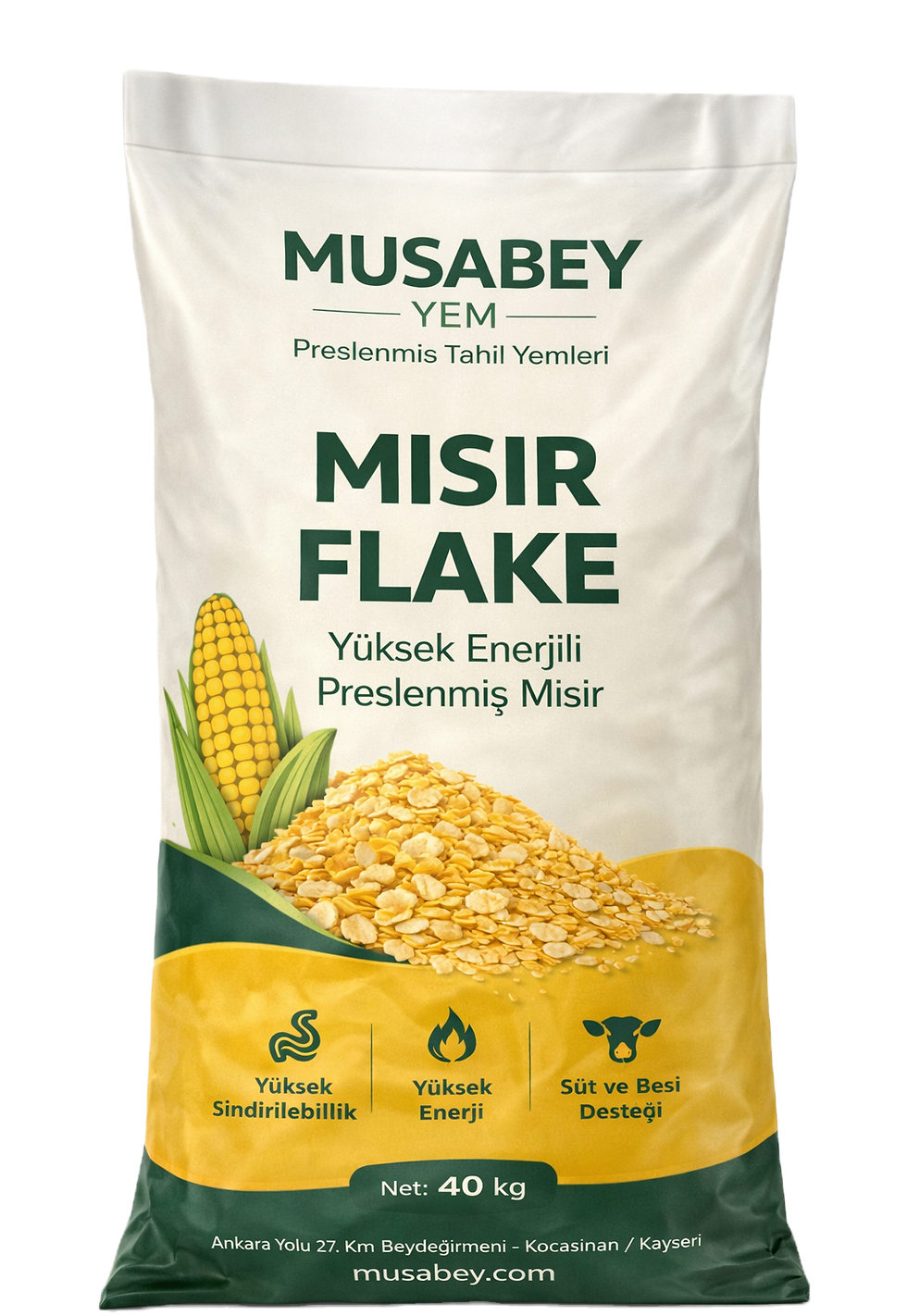 ChatGPT Image 18 Mar 2026 08_17_09_edited.png