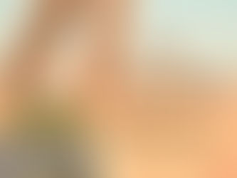 Gacer Nedir ? Gacer Unu Gacer Buğdayı Nedir ?