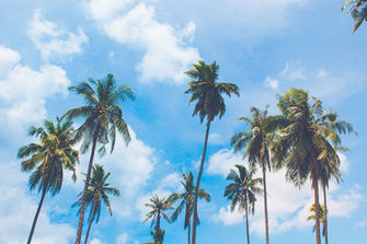 hawaii wedding