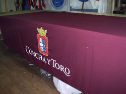 Viña Concha y Toro