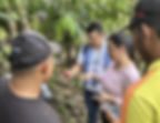 Captura de la parcela agrícola utilizando KoltiTrace, para una trazabilidad en el chocolate sostenible - Koltiva.com