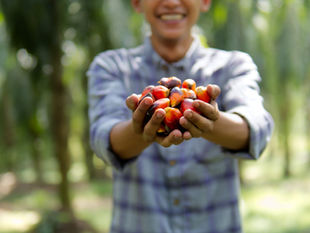Nous devenons membre de la Roundtable on Sustainable Palm Oil (RSPO) pour promouvoir la durabilité de l'industrie de l'huile de palme 