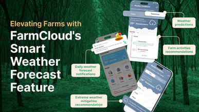 Agriculture sans faille : dévoilement de la prévision météo intelligente pour le succès agricole