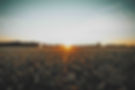 home-banner.jpg