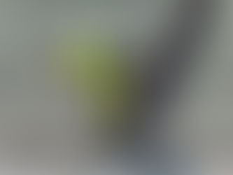 מה עדיף? לקנות דירה מקבלן או יד שנייה?