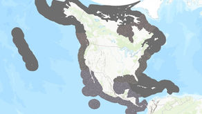 North American Bat Monitoring Program | United States | Canada | NABat