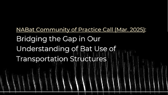 NABat CoP March 2025 Title Card.png